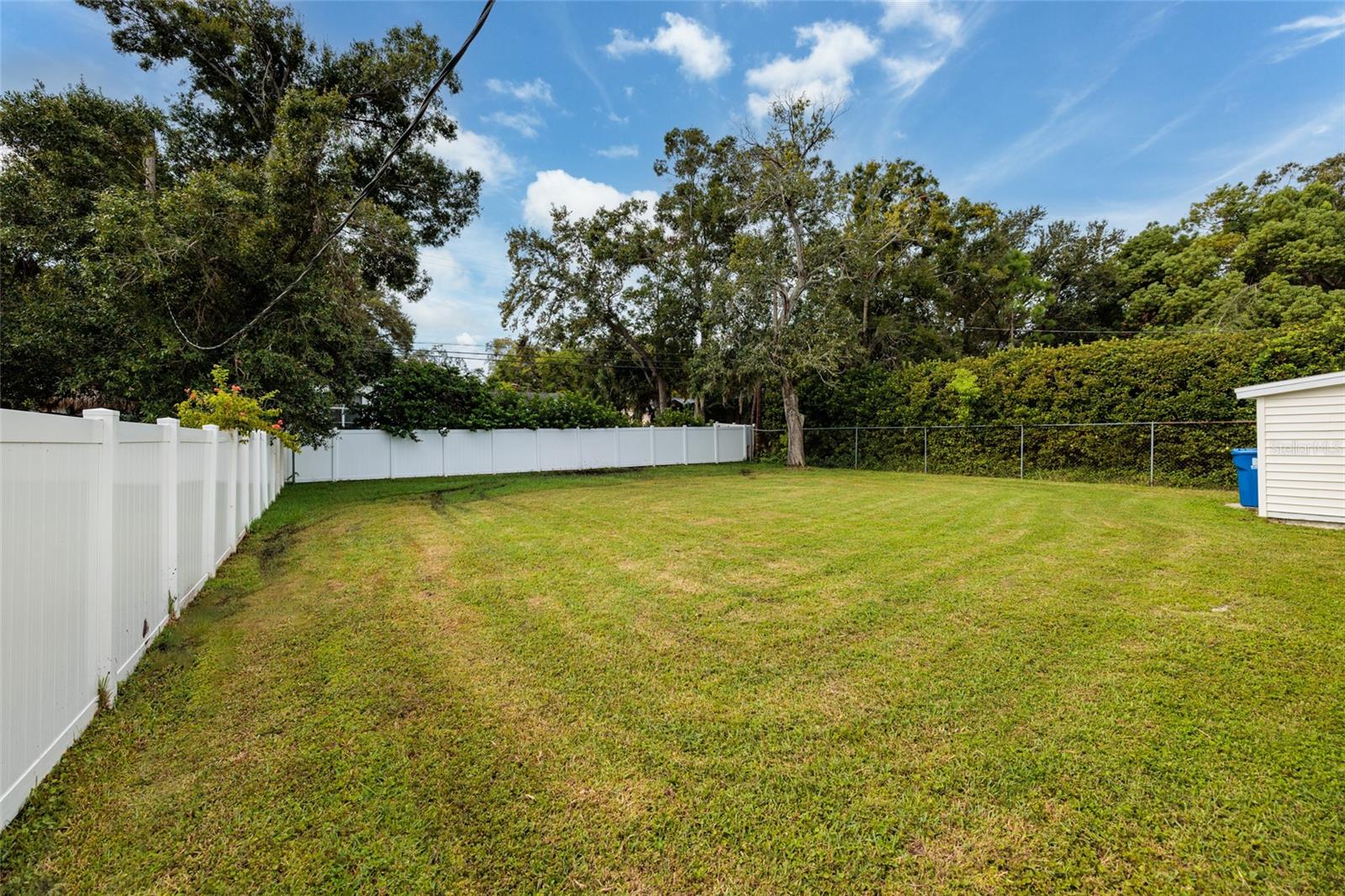 Backyard view Left Side