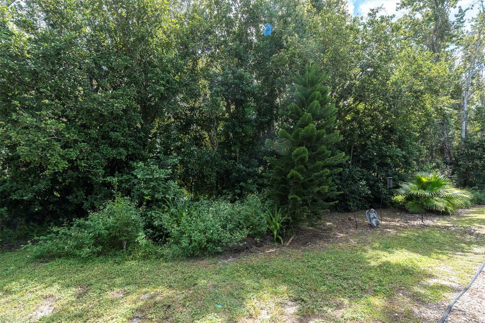 .22 Acre lot