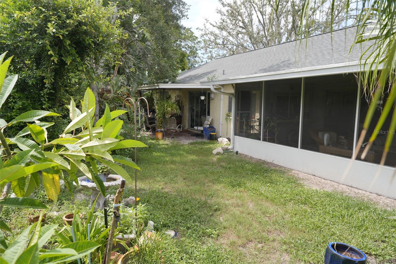 Back yard