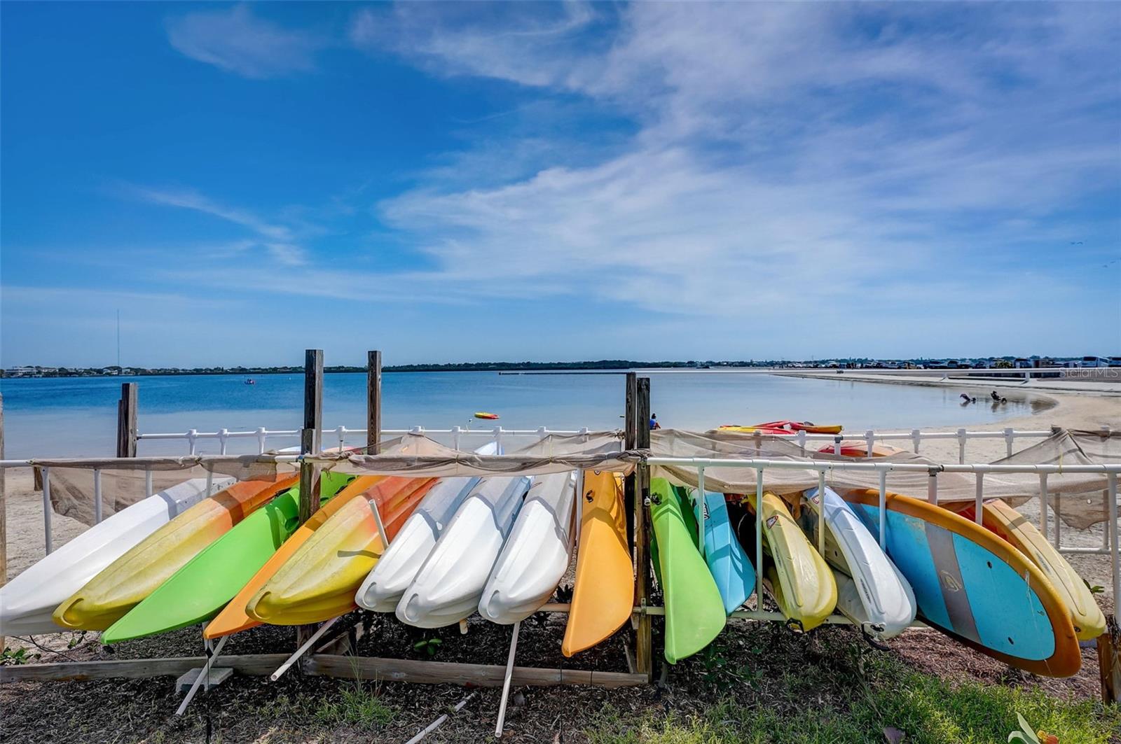 Fred Howard Park Kayak Rentals