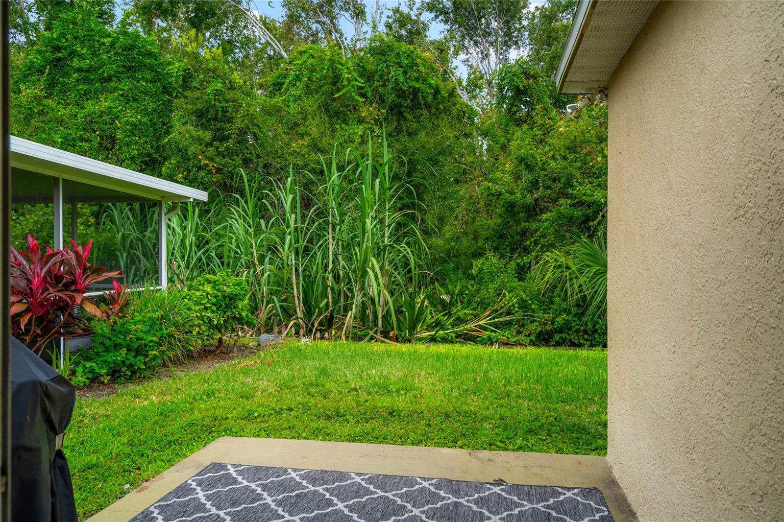 Patio Area