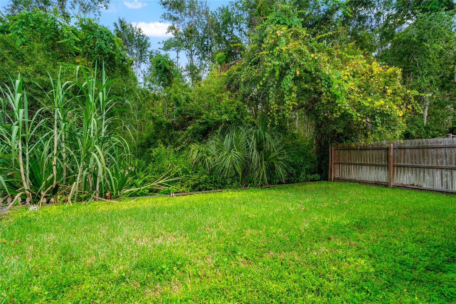 Partially Fenced Back Yard