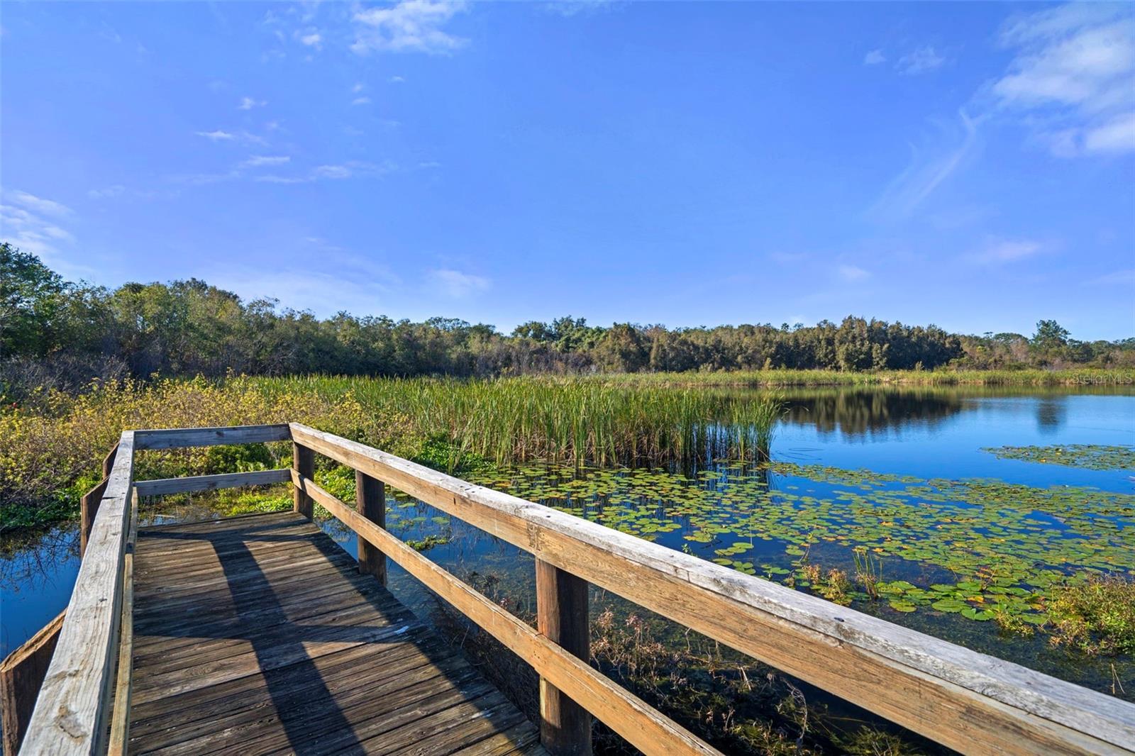 DOCK FOR NATURE WALKS