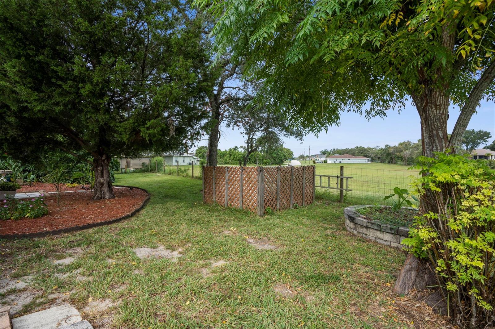 Back yard