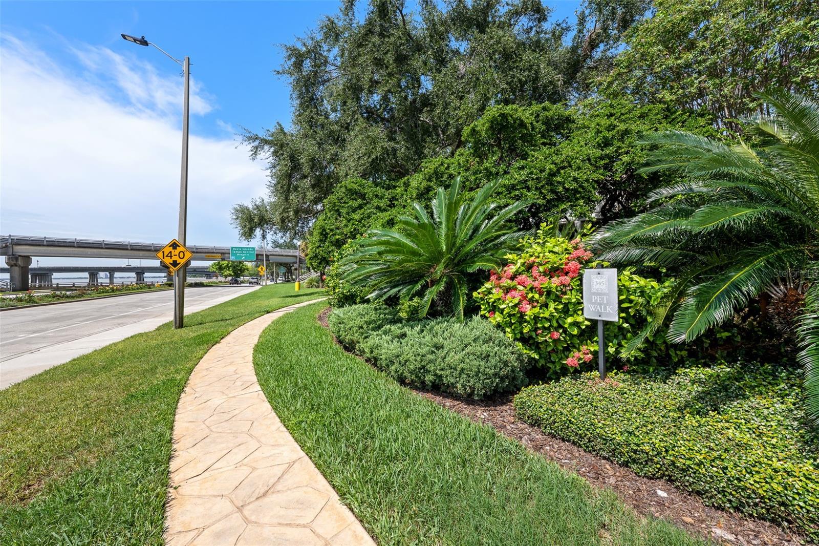 Dog Walkway