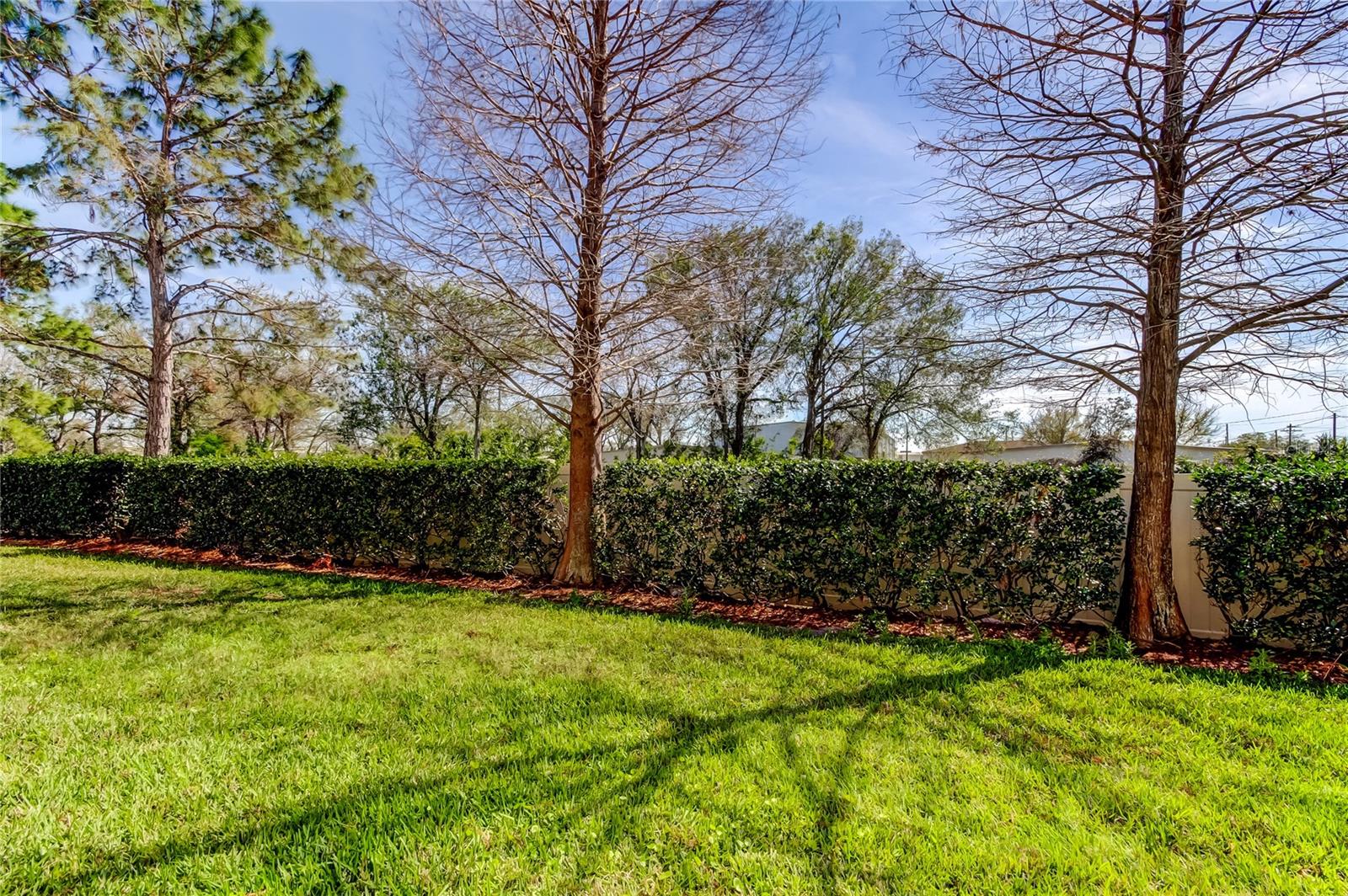 Spacious backyard area