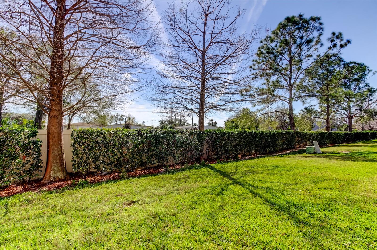 Spacious backyard area