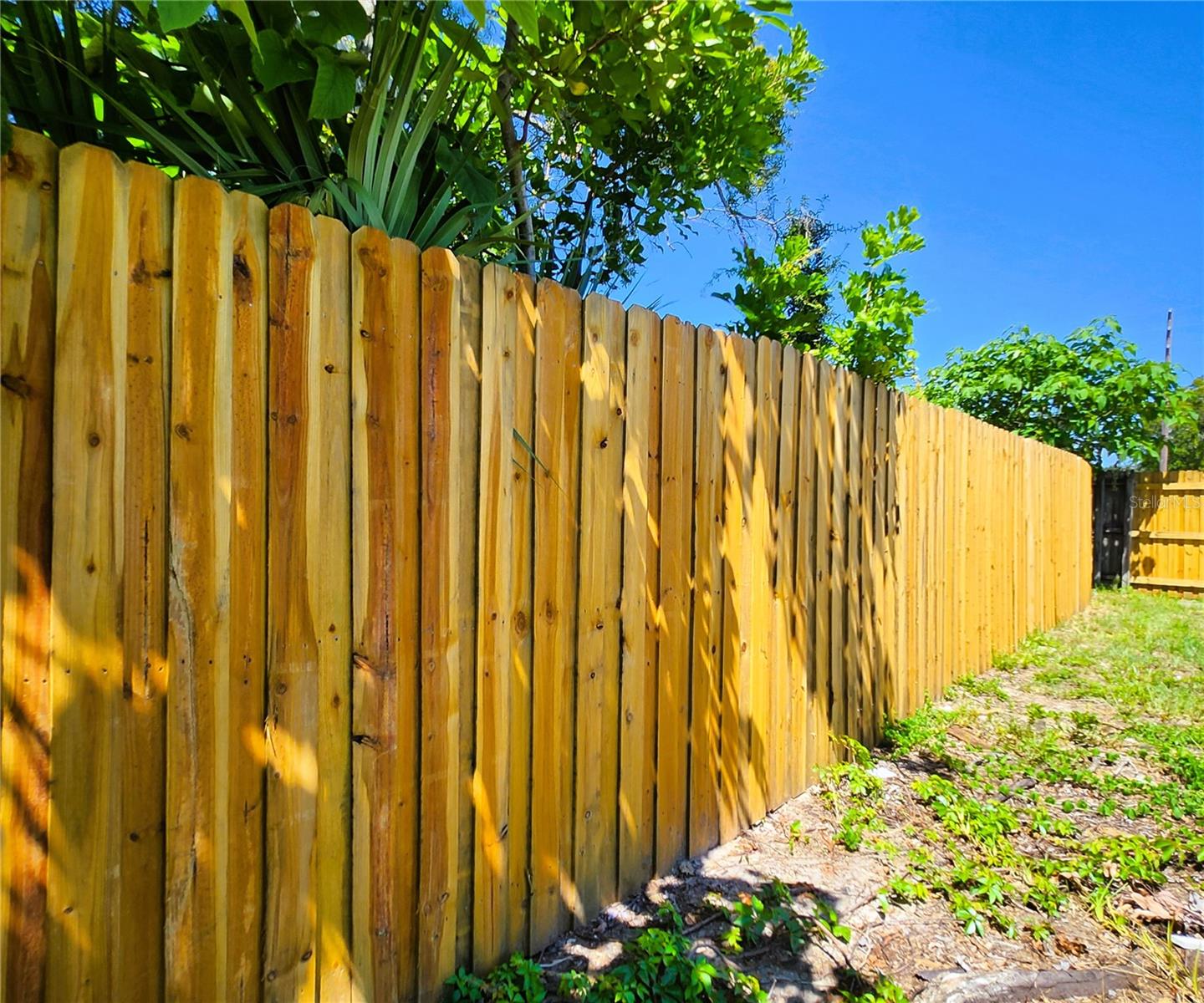 New Fence