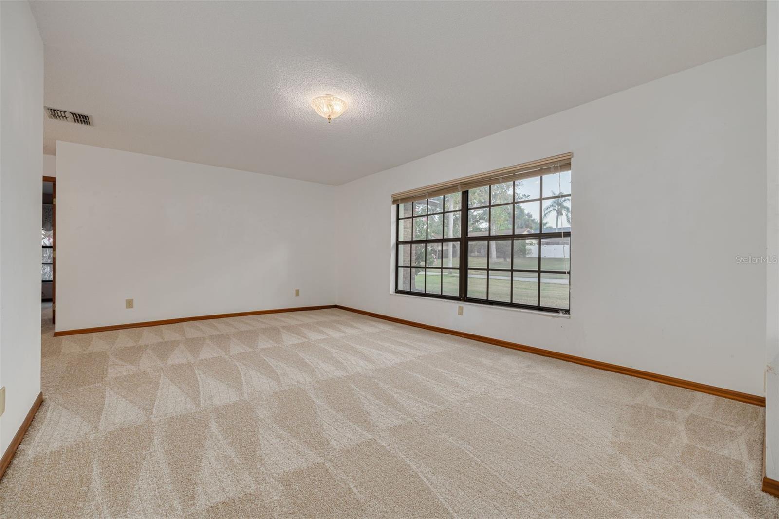 Living room -  new carpeting