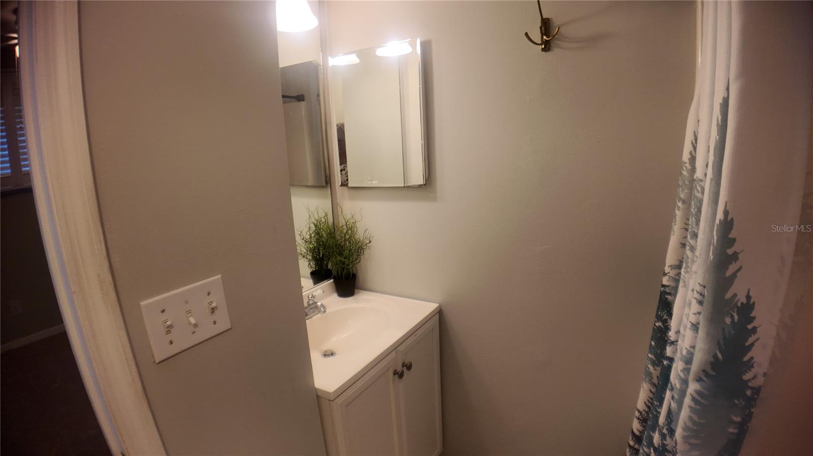 in law suite bathroom