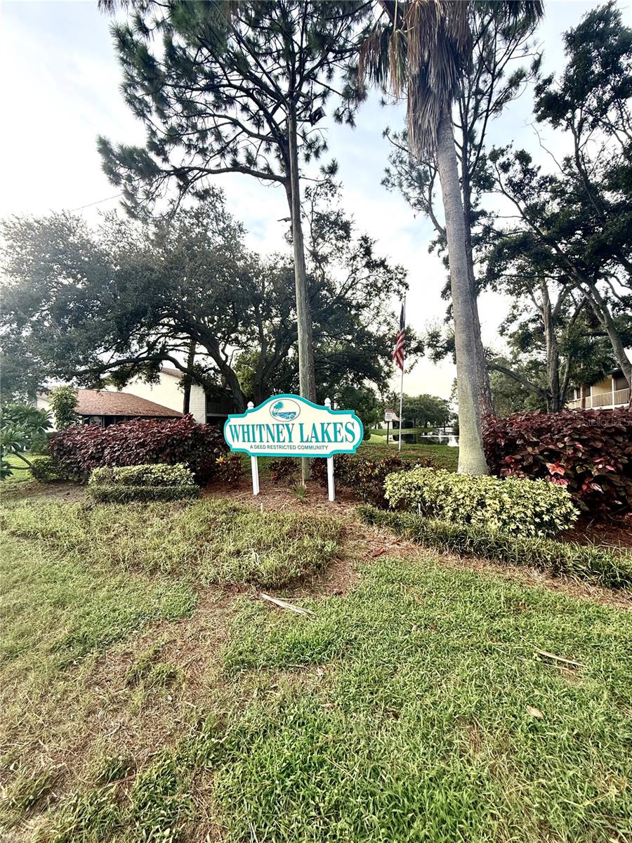 L4955866