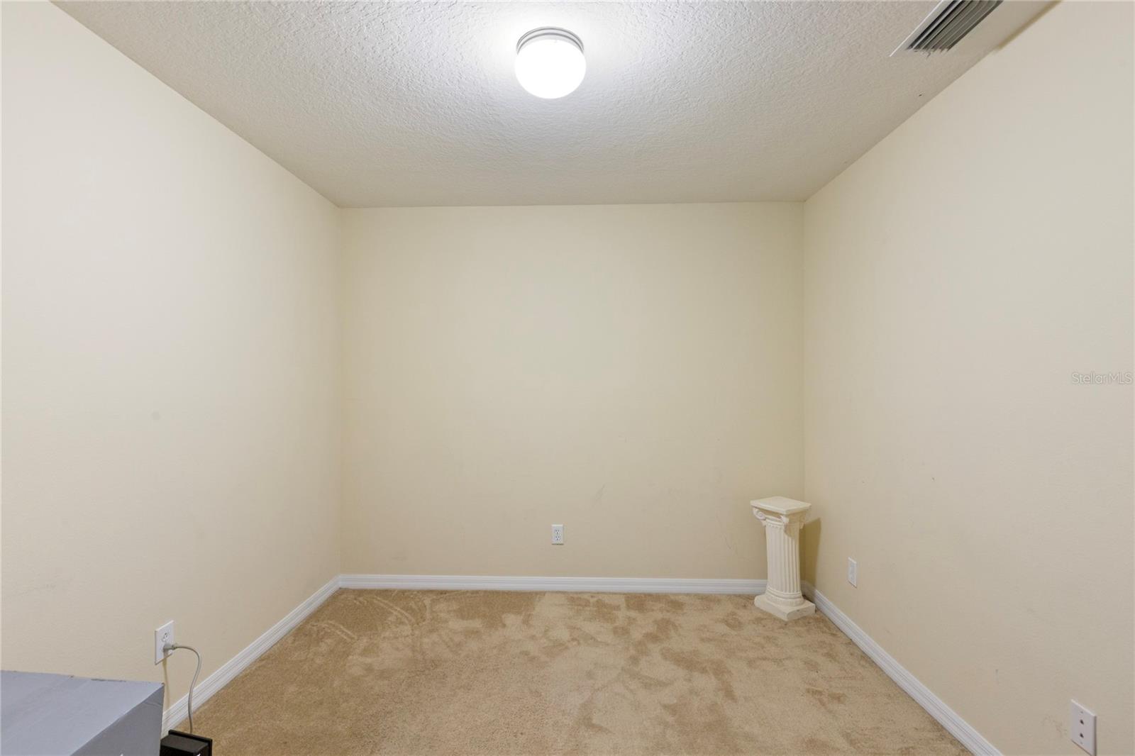 Bonus Room/Office