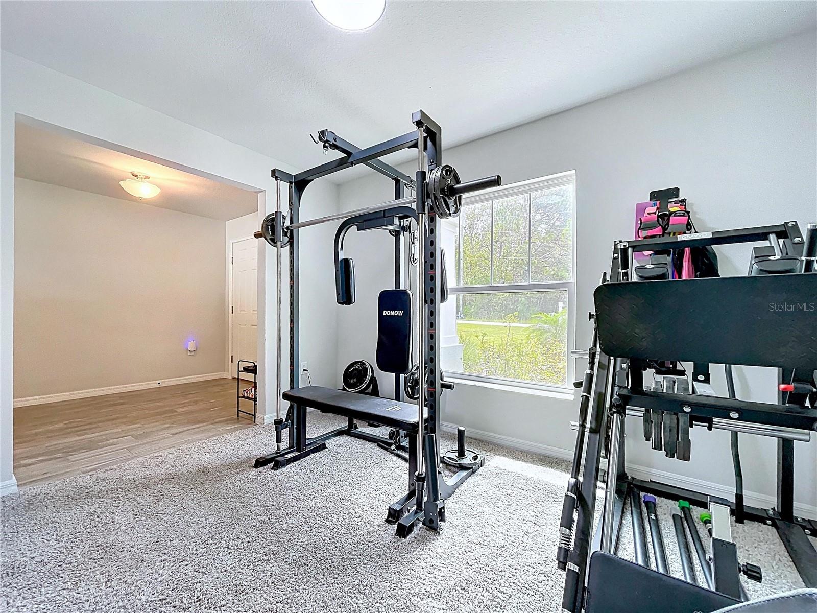 Bonus Room