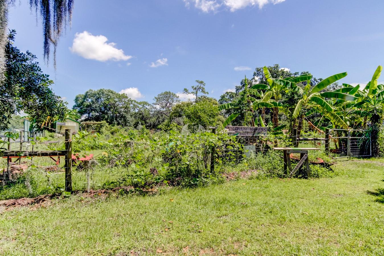 Temple Terrace Community Garden