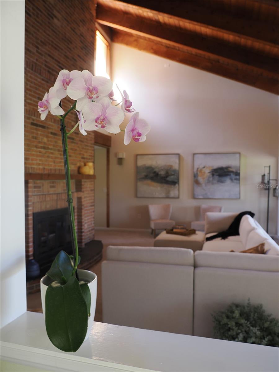 View from kitchen