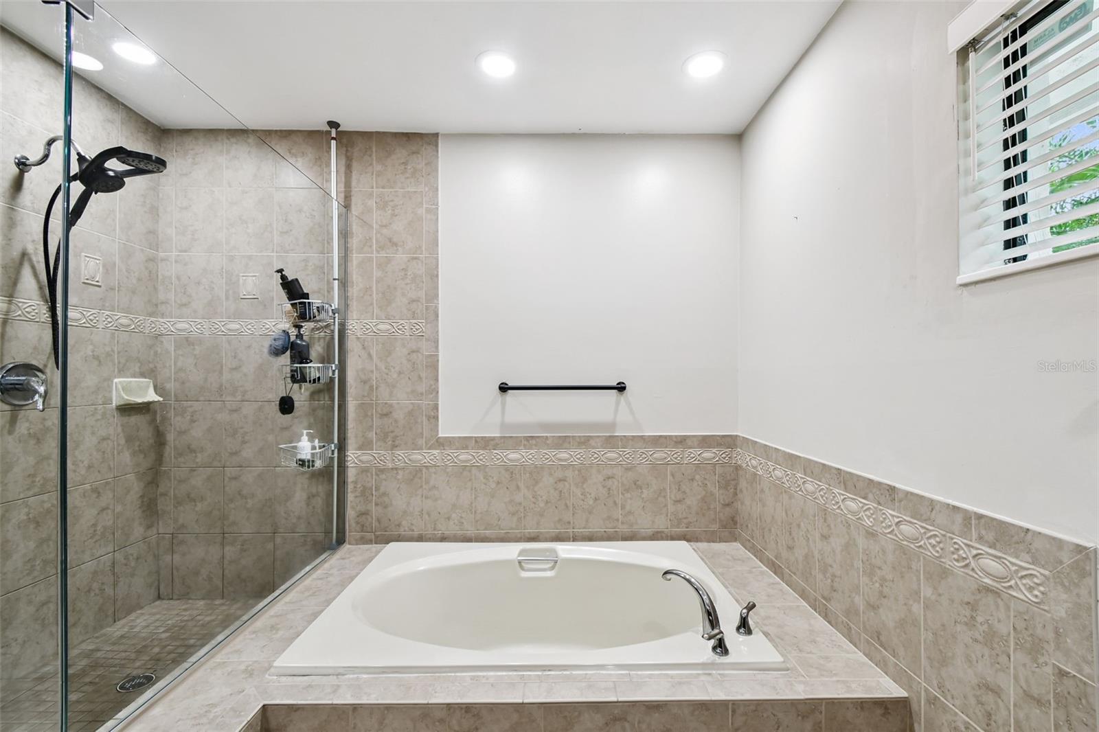 Roman Tub with separate Glass Enclosed Shower