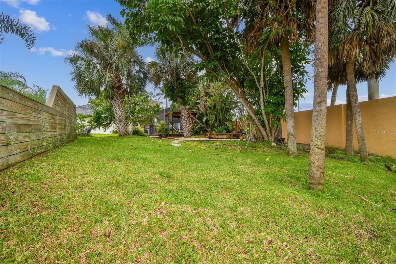 Rear Yard