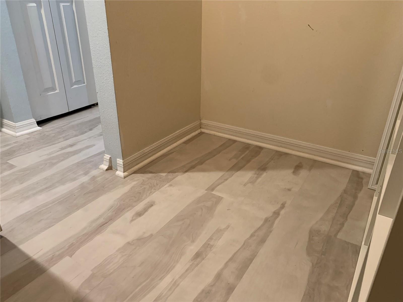 Primary Bedroom Large Closet
