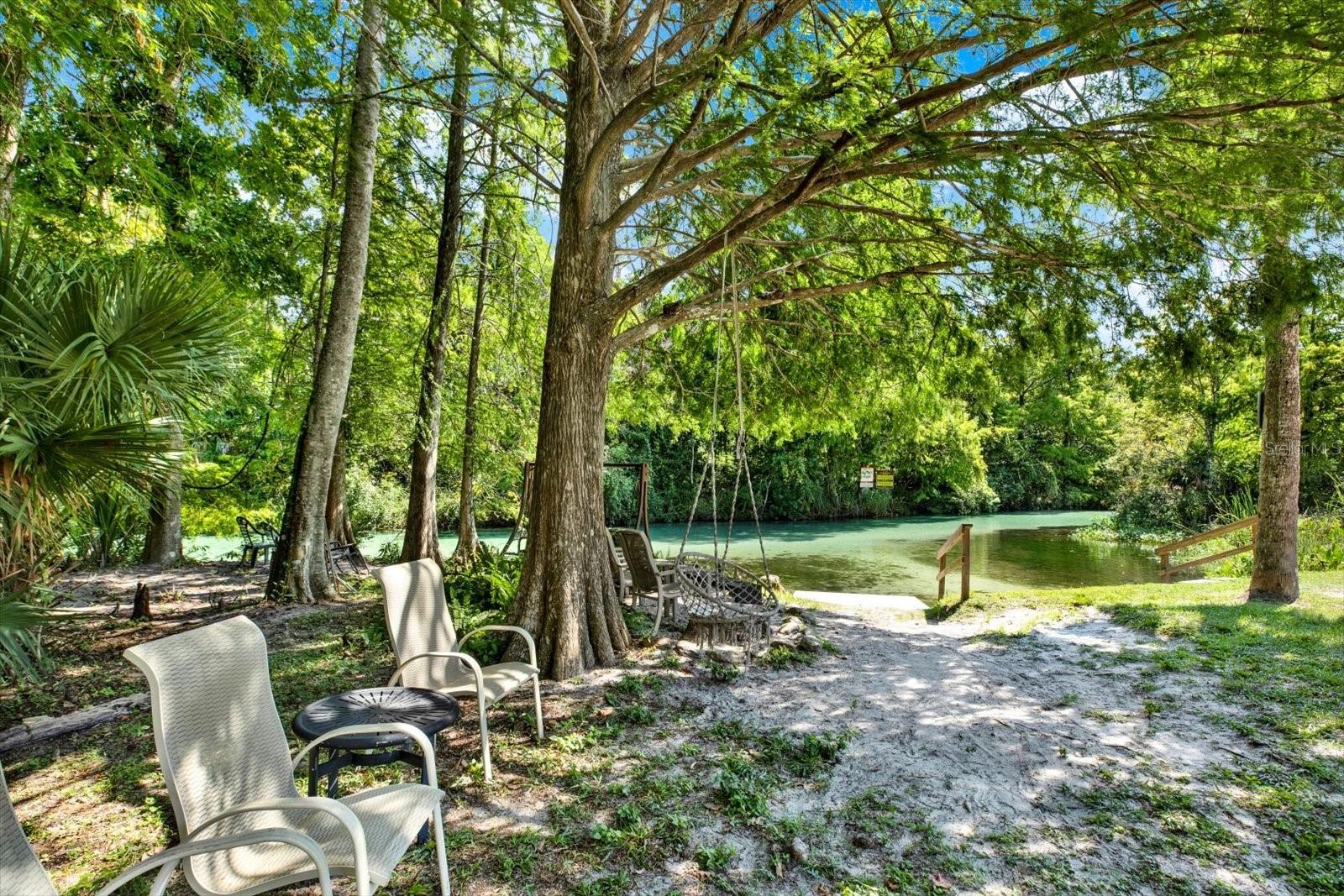 Quiet sitting area for taking in nature, including manatees!