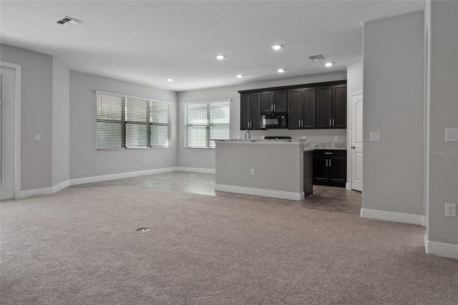 Living Room / Kitchen
