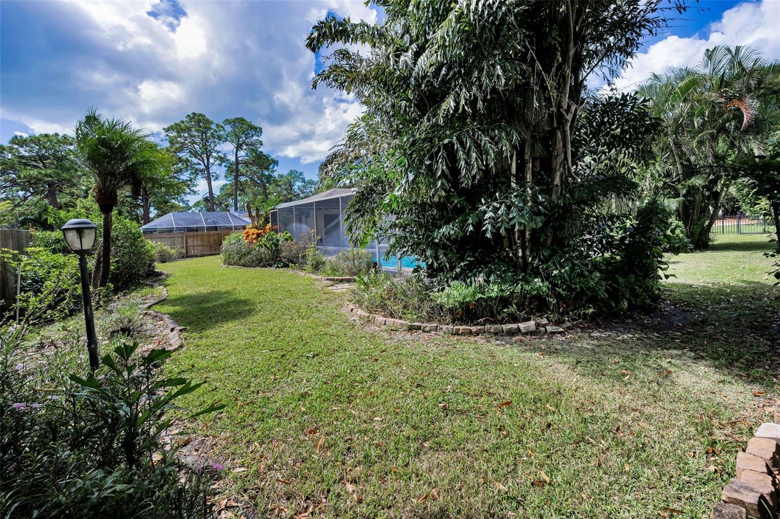 Beautifully Landscaped Yard