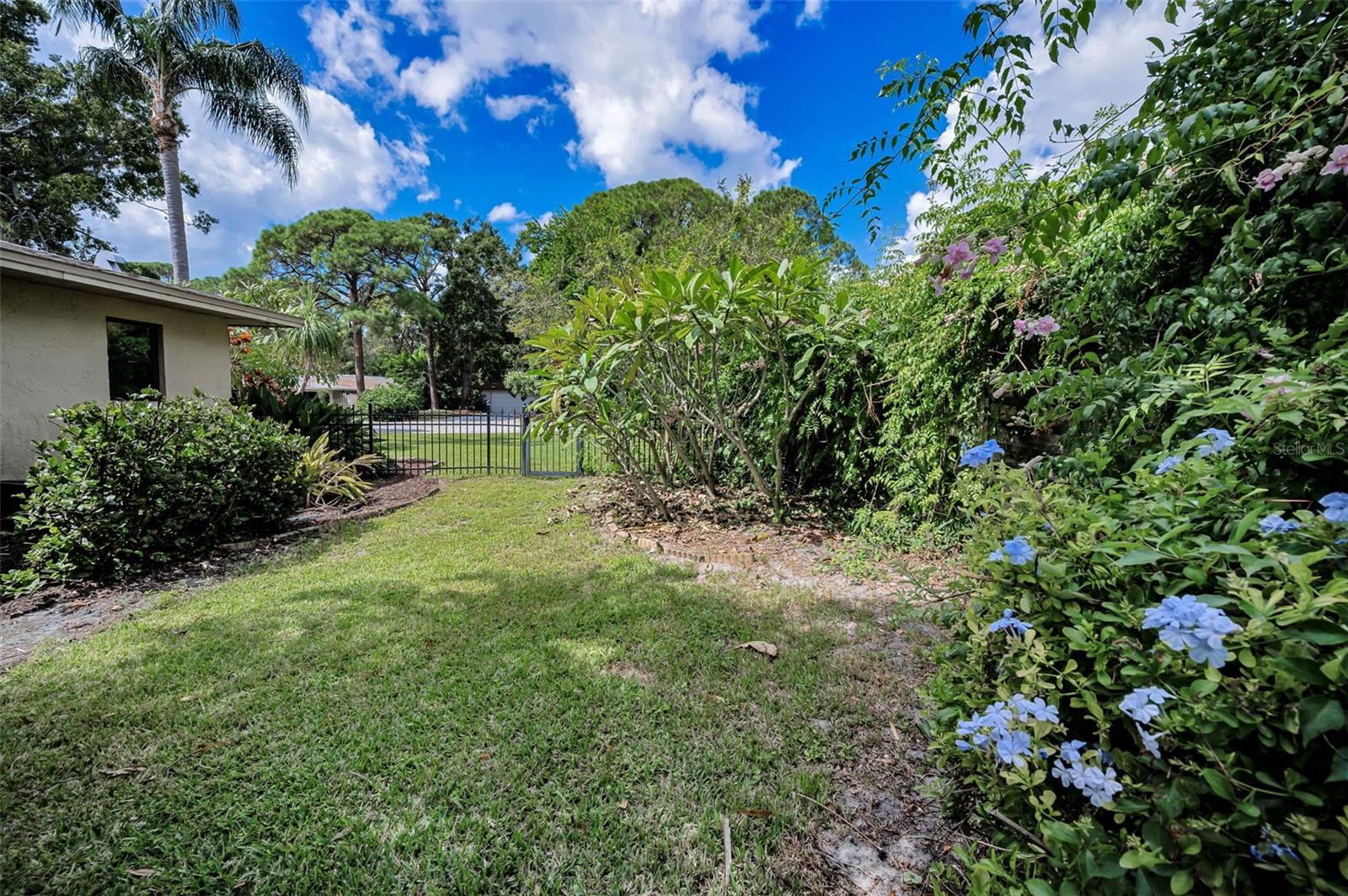 Beautifully Landscaped Yard