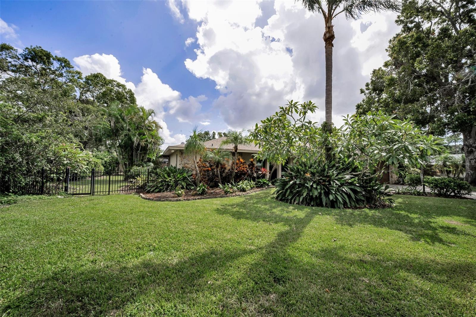 Side Yard of Home - Beautiful, Spacious Lot - Your Private Sanctuary!