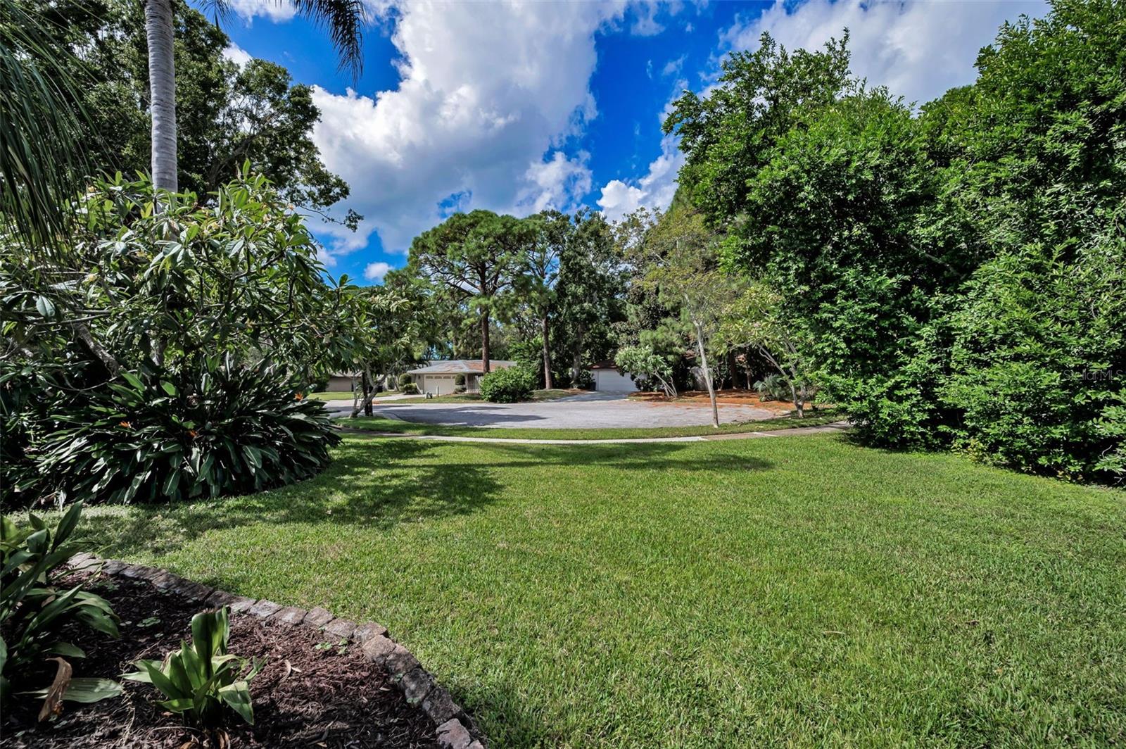 Garden-Like Yard
