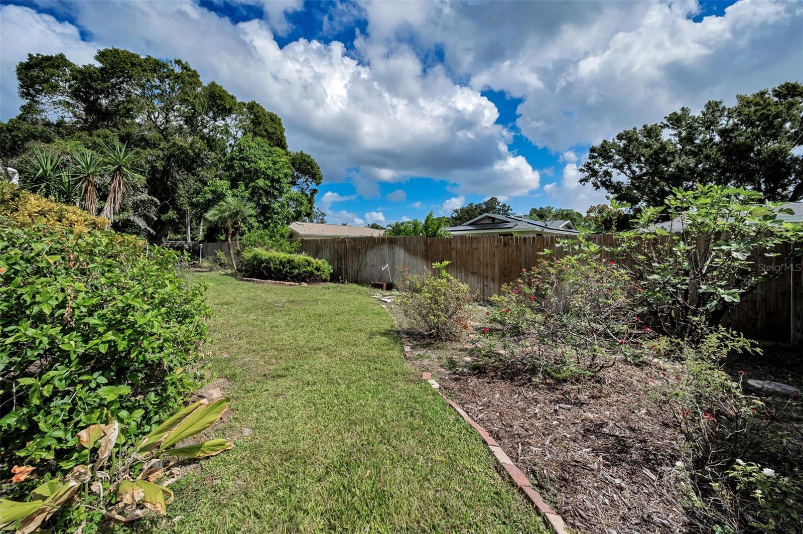 Garden-Like Yard