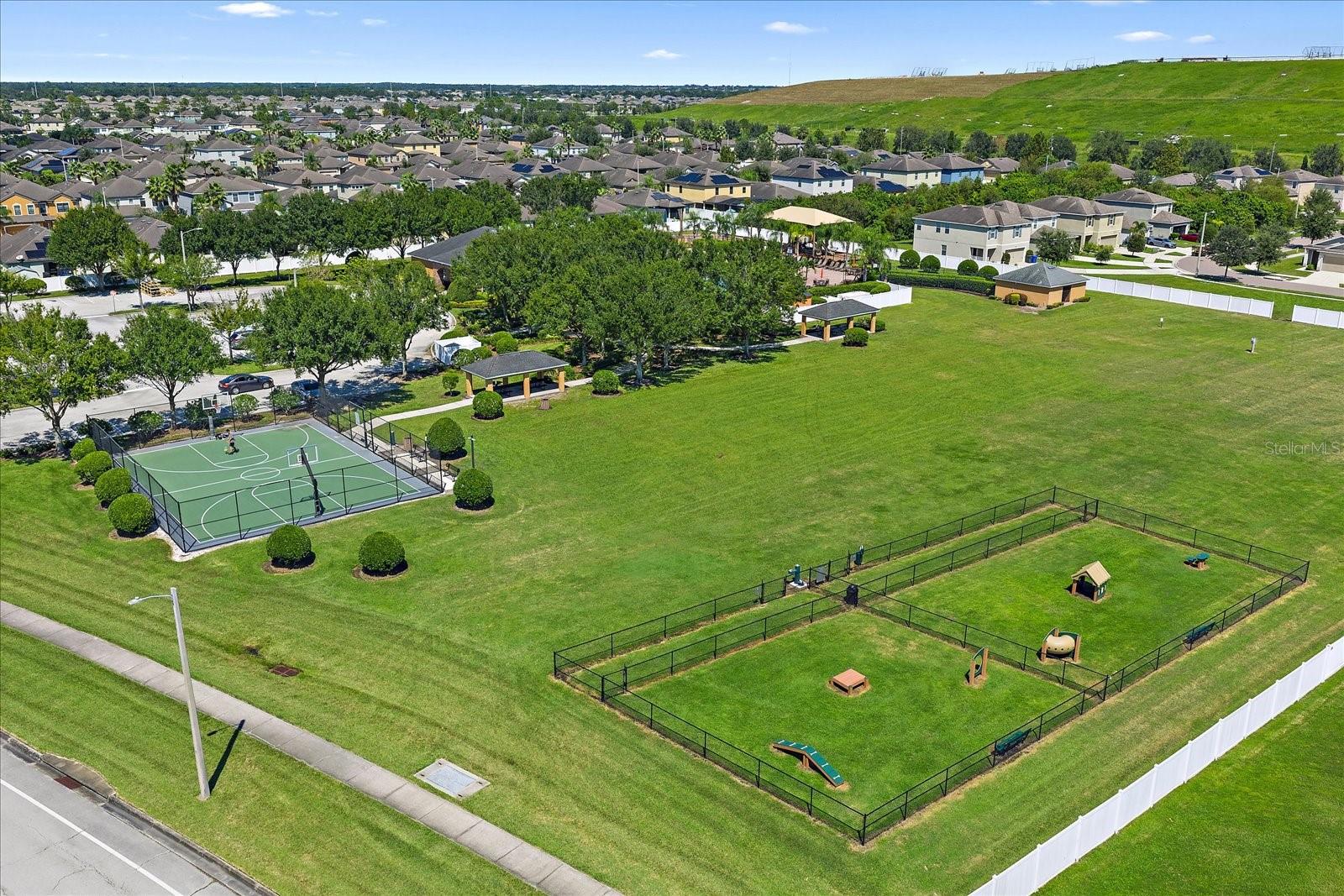 Basketball Court, Dog Park
