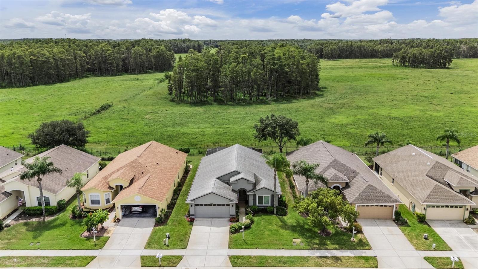 A fantastic pasture-type view