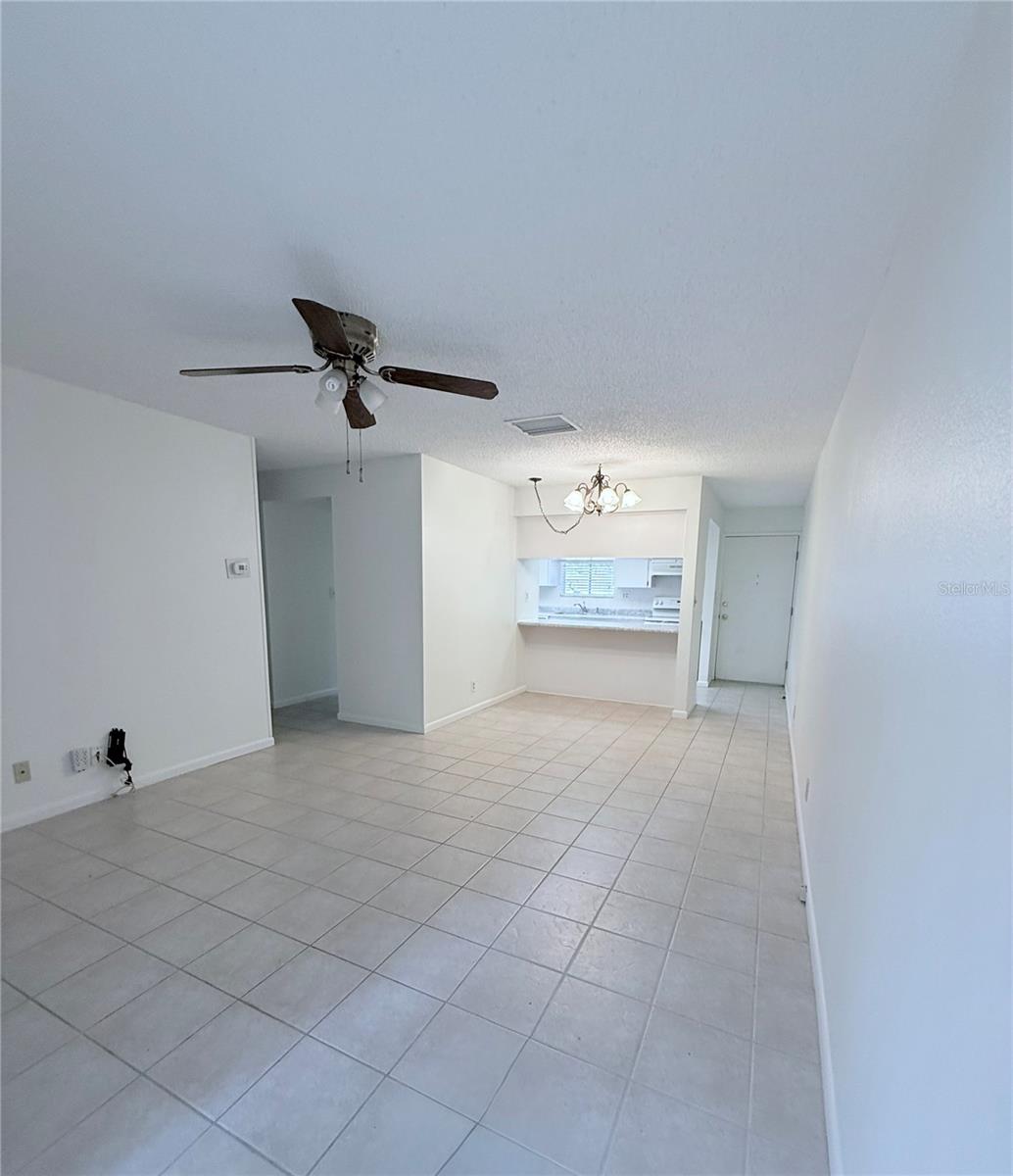 Large Living Room