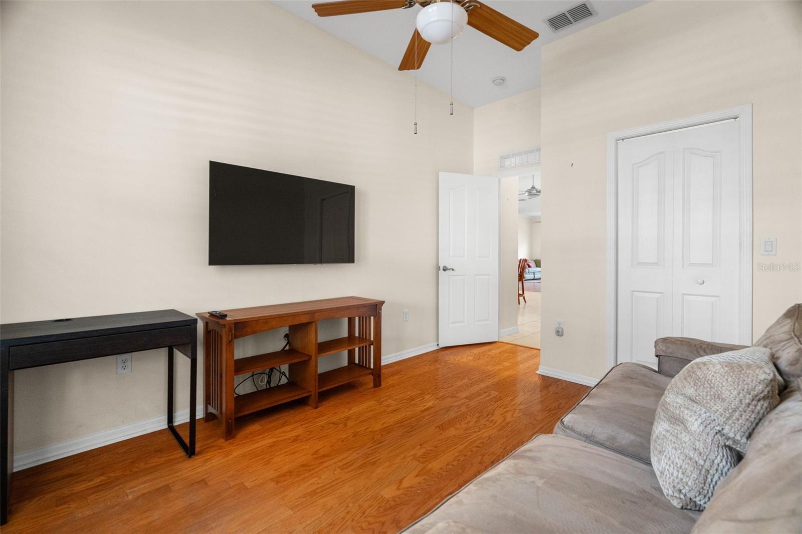 Walk mounted TV conveys as well