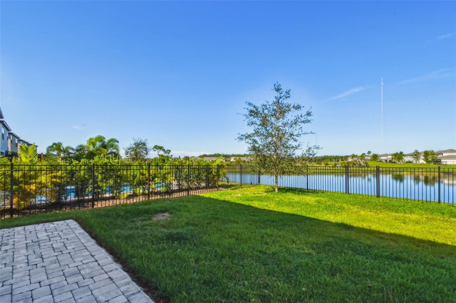 Pond View