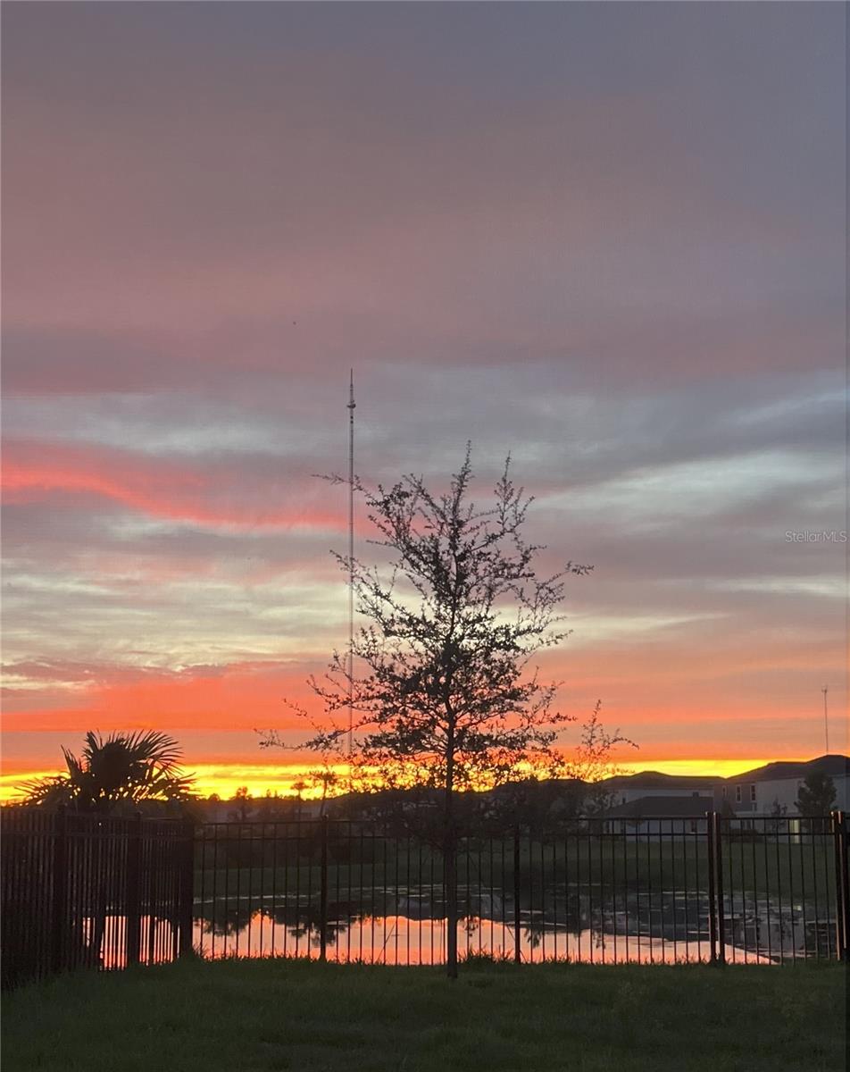 Backyard view.