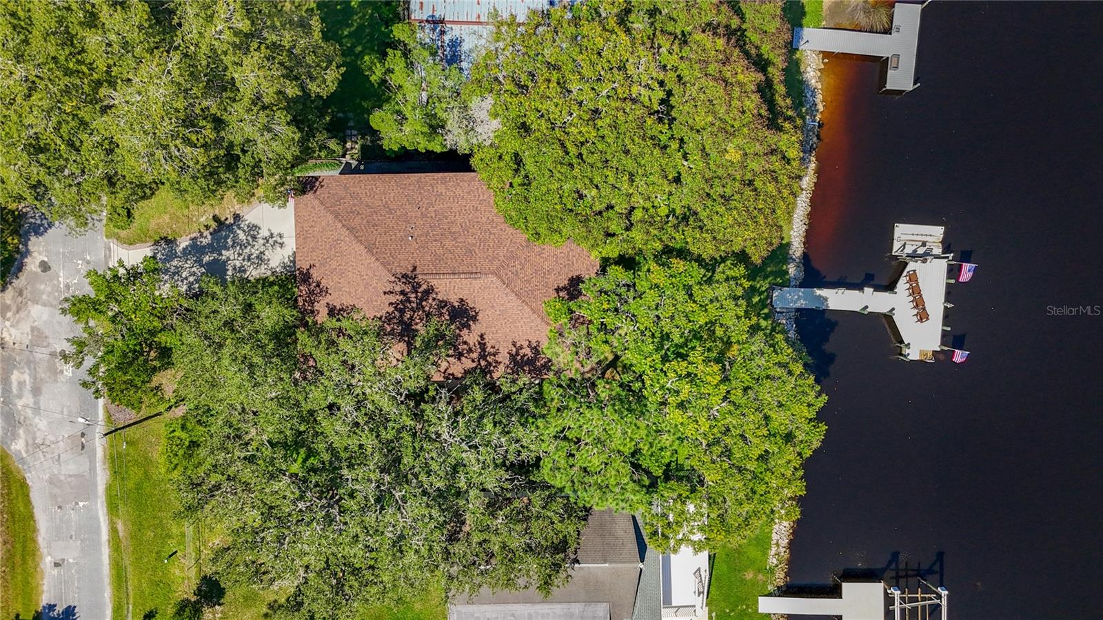 Bird's Eye