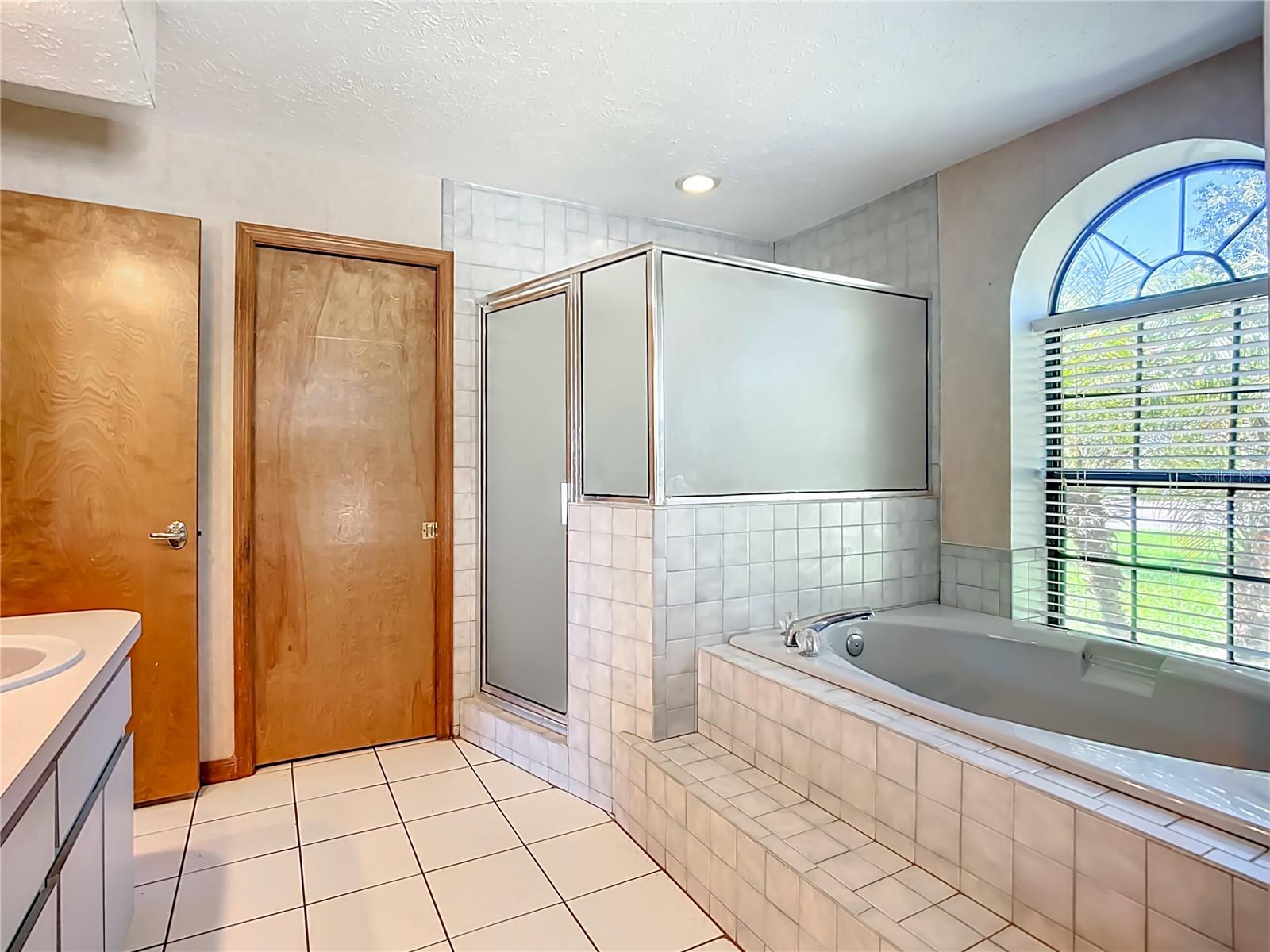 Primary spacious bathroom with seperate shower, soaking tub ,closet