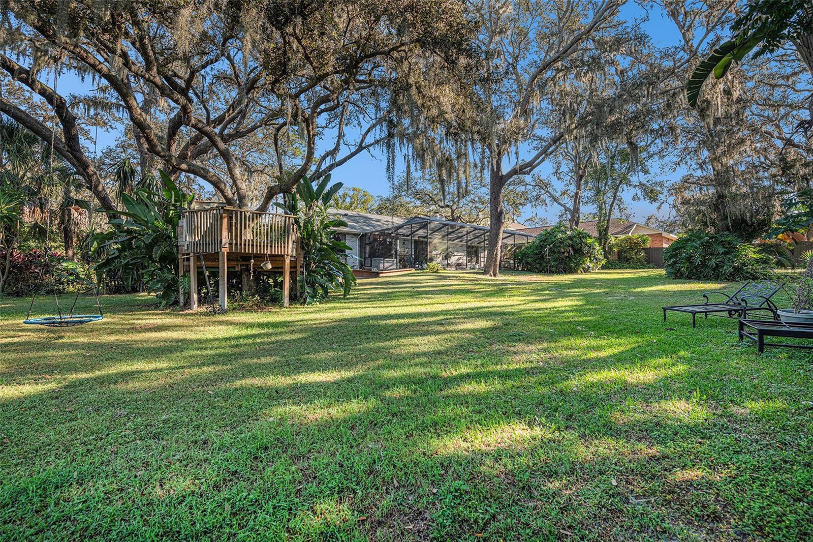 Backyard (almost 1/2 acre lot)