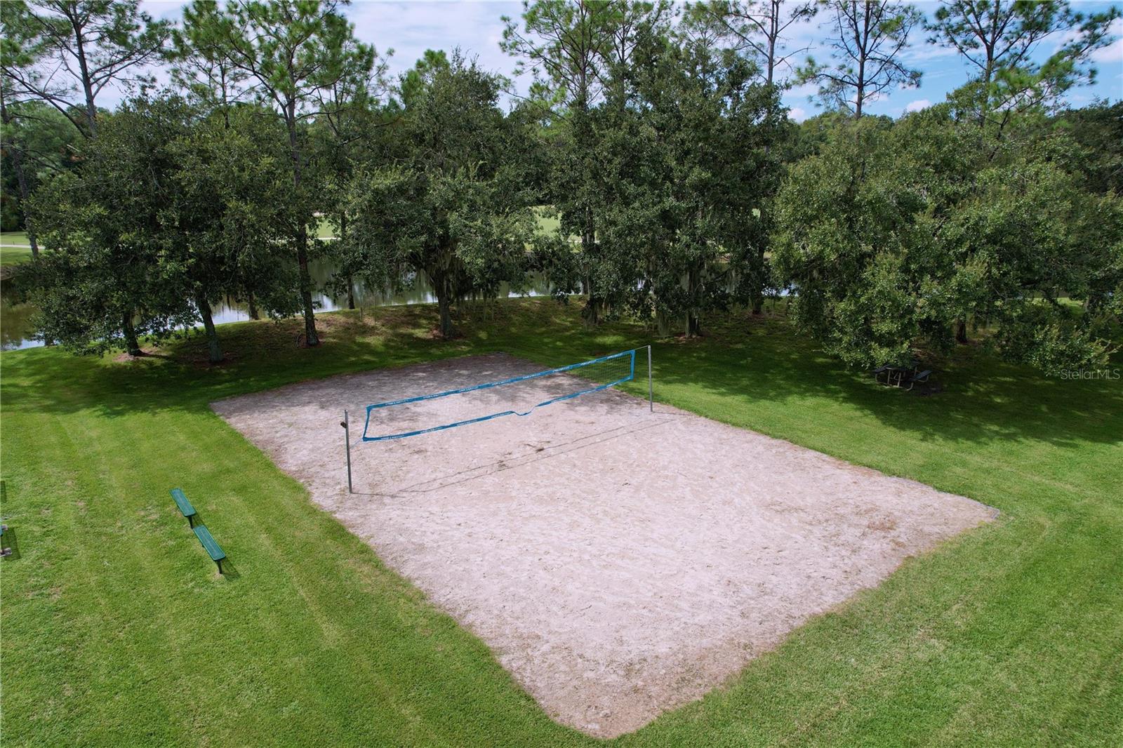 Volley ball
