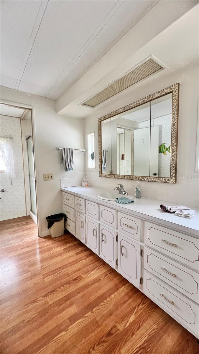 Primary bathroom vanity area