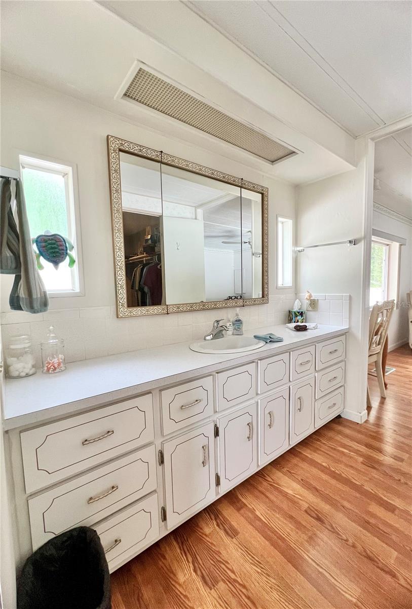 Primary bathroom vanity area