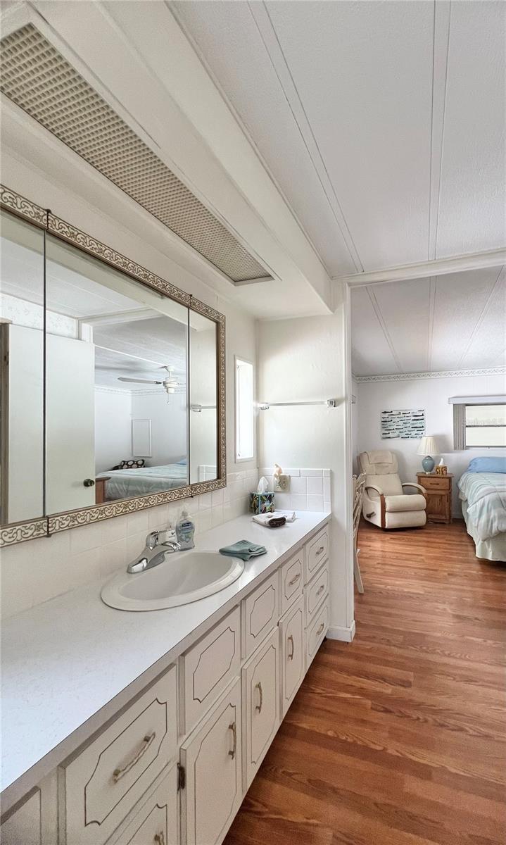 Primary bathroom vanity area