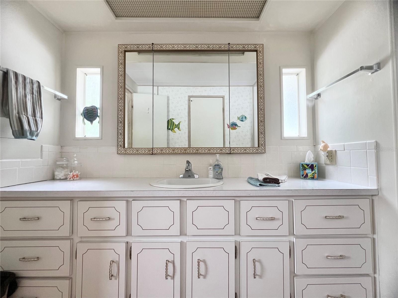 Primary bathroom vanity area