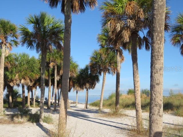 The palms are calling.