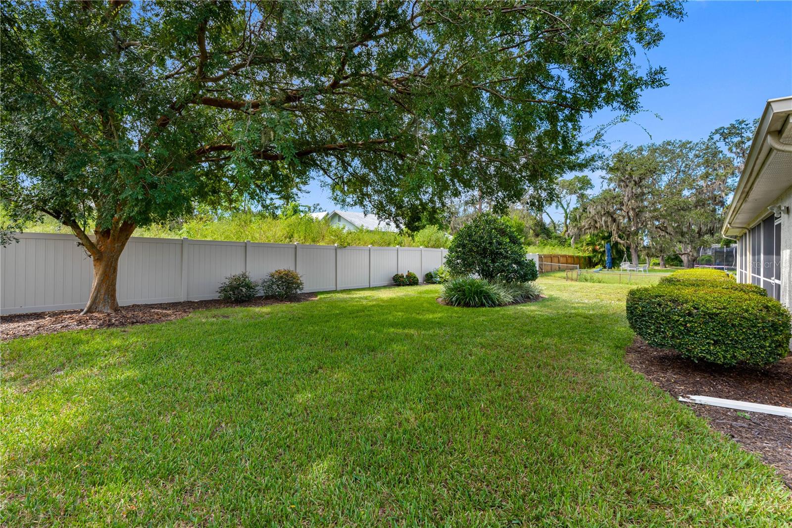 A Fenced Backyard!