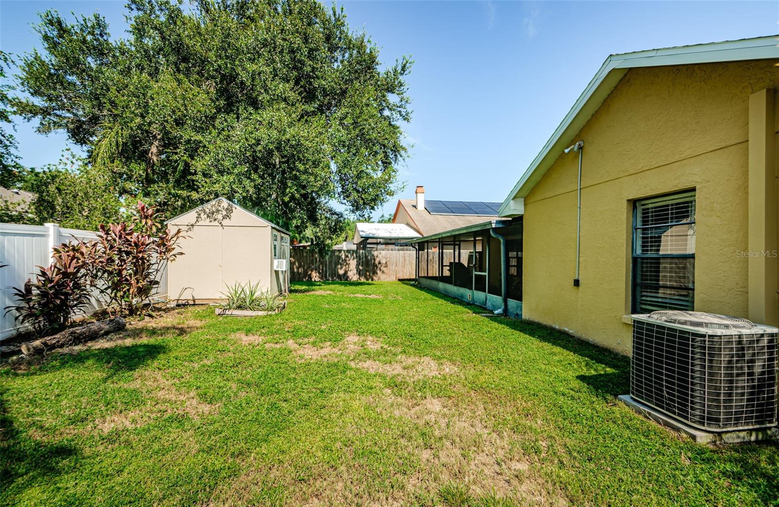 Back Yard