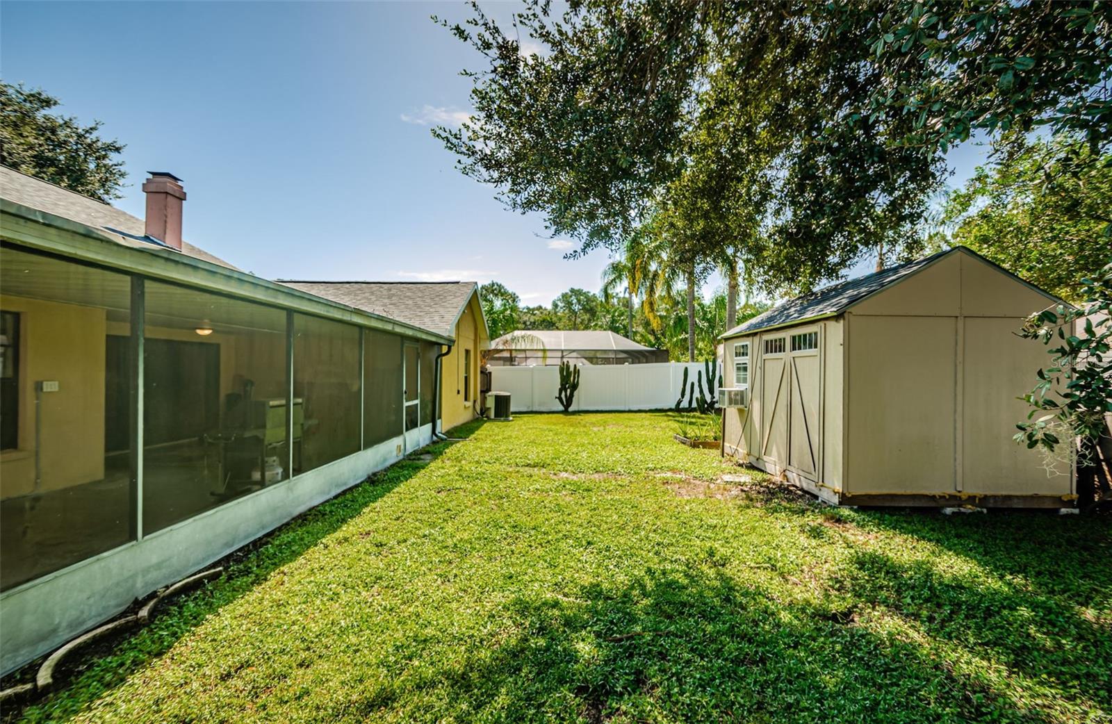 Back Yard