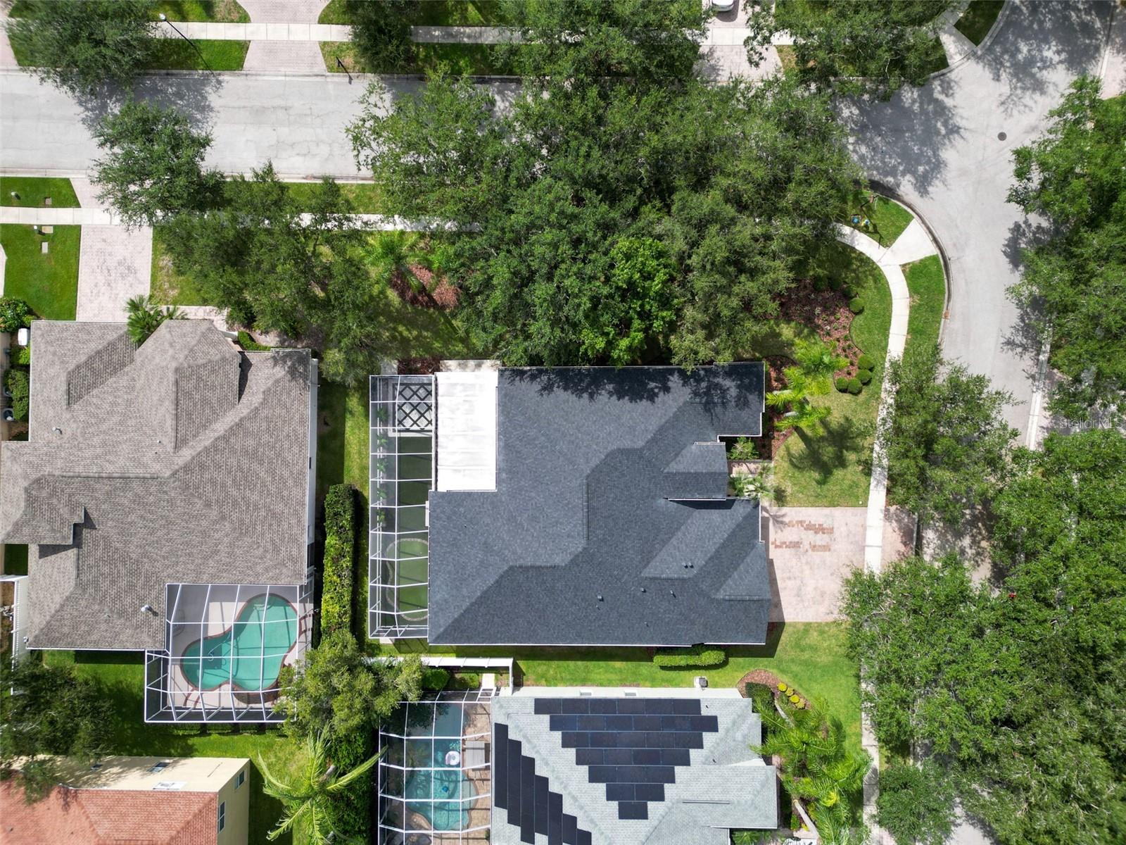 Birds Eye View