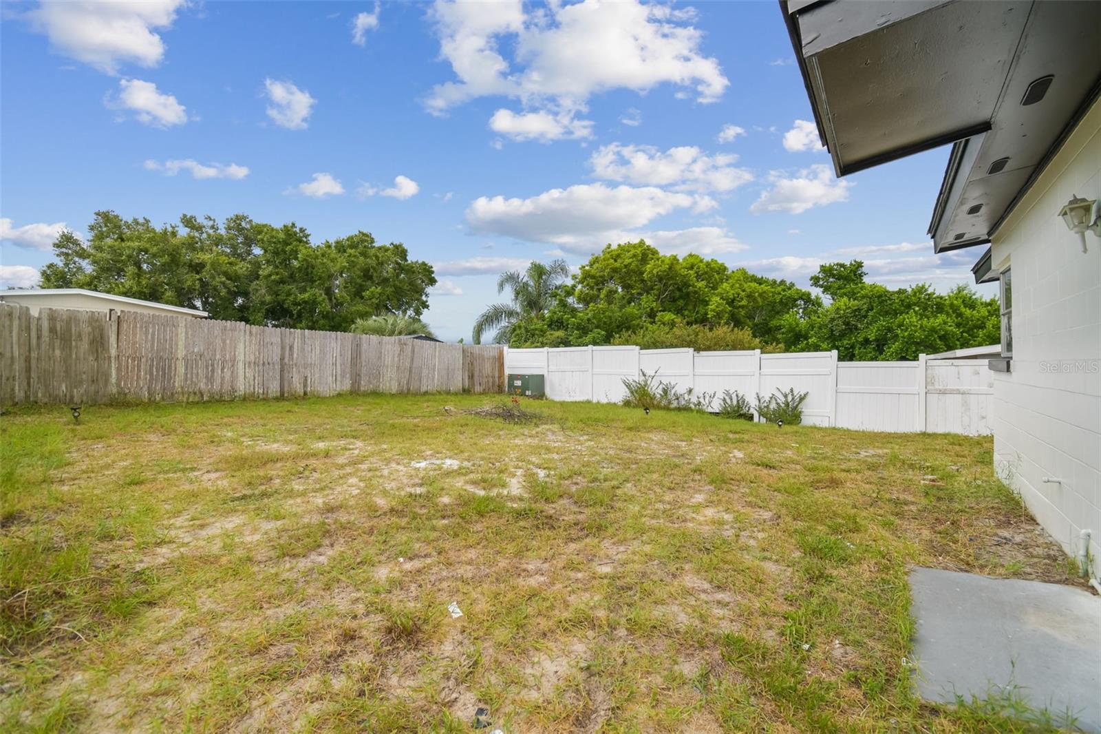 Backyard