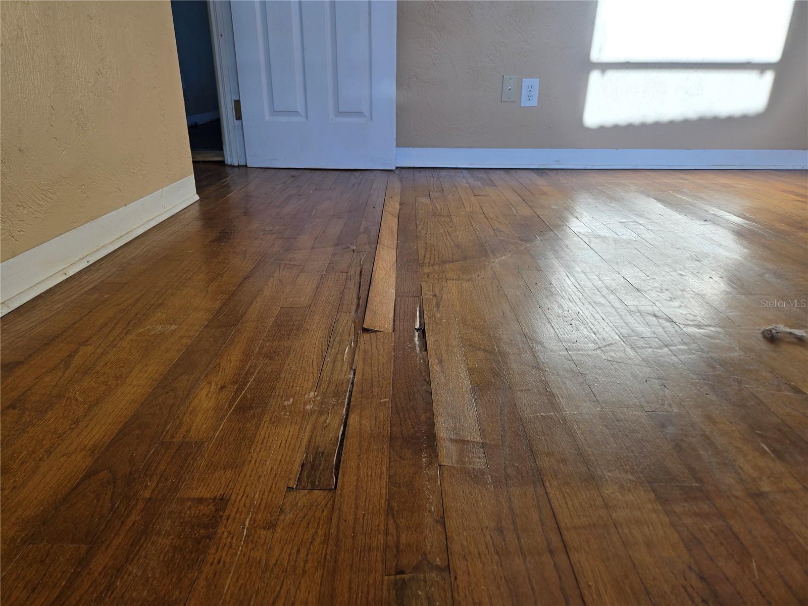 Bedroom 1 floor damage